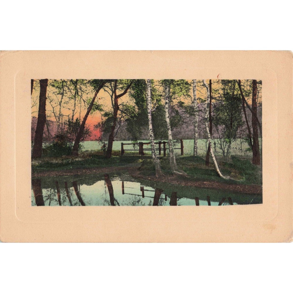 Vintage ZIM Postcard Sunset Landscape Birch Trees Made in Germany 2325 6 - Picture 1 of 2